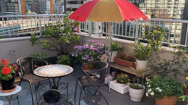 Una terraza en la azotea con una mesa, sillas, plantas en macetas y un paraguas rojo.