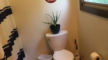 Shower, hair dryer, towels, toilet paper