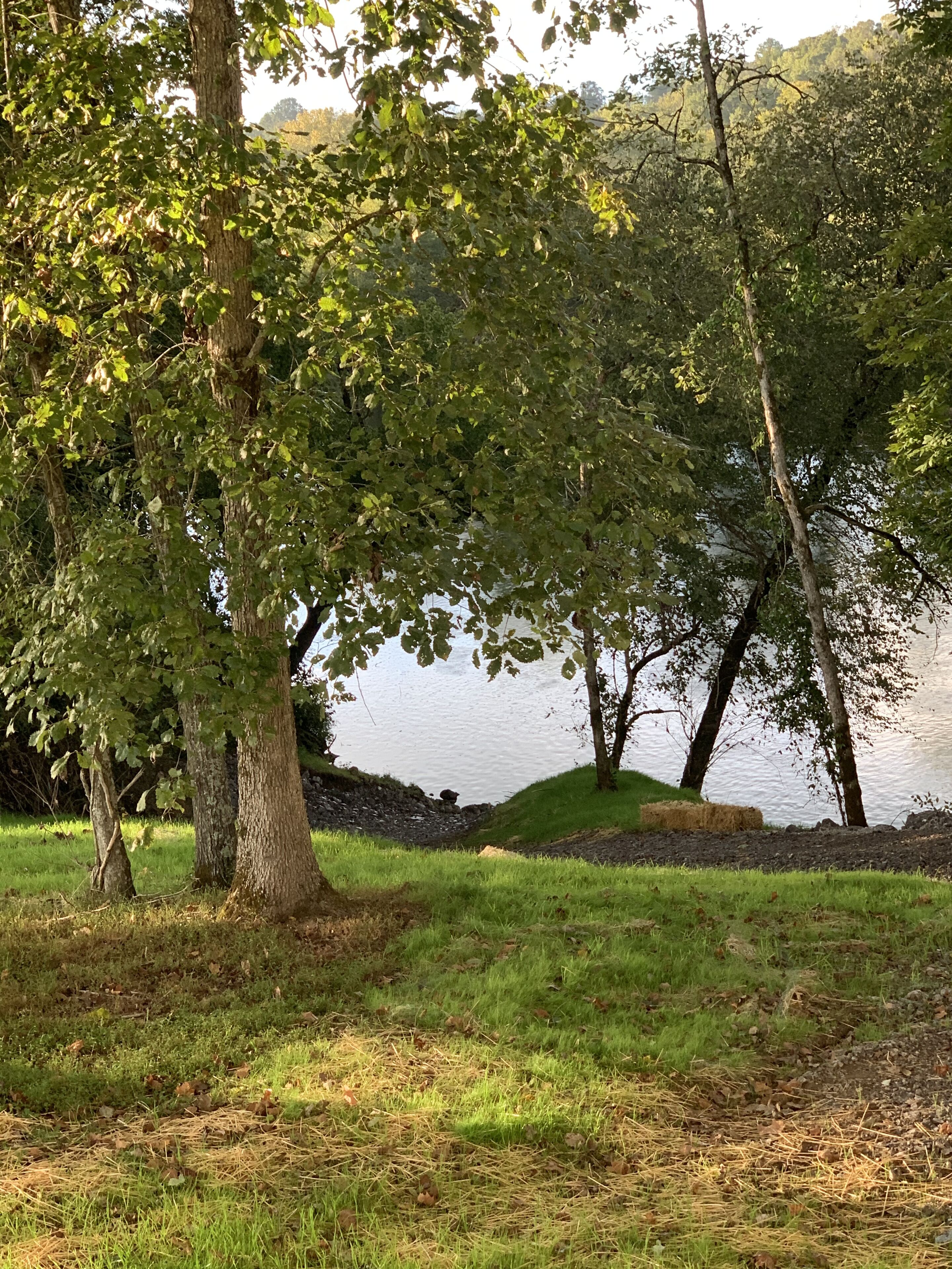 A serene lakeside park with trees, grassy areas, and a small hill.