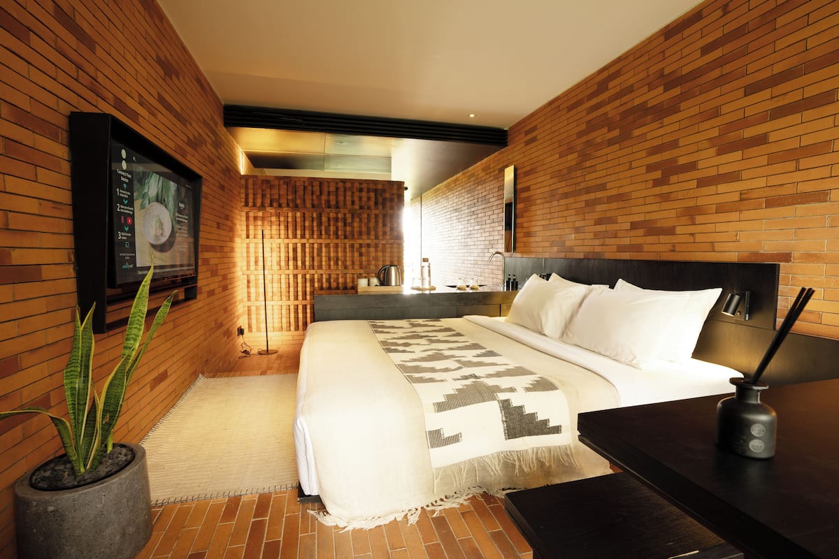 Una habitación de hotel moderna con pared de ladrillo, una cama grande, un televisor de pantalla plana y una planta en maceta.