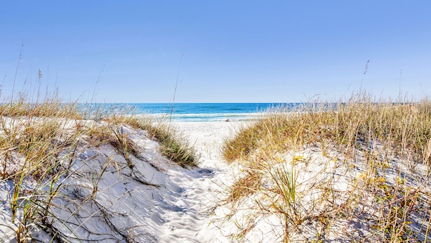 A sandy beach path leading to the ocean with clear skies. - Beachfront Retreat | Screened Porch | West Beach (Gulf Shores)