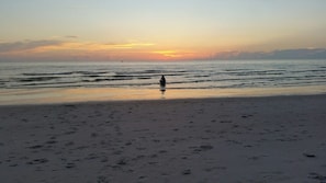 Beach nearby, sun-loungers, beach towels - Marco Island Breeze in Naples (Naples)