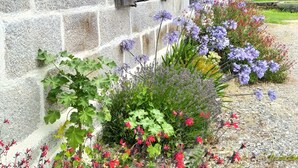 Un edificio de piedra con varias ventanas y un camino de grava bordeado de flores coloridas.