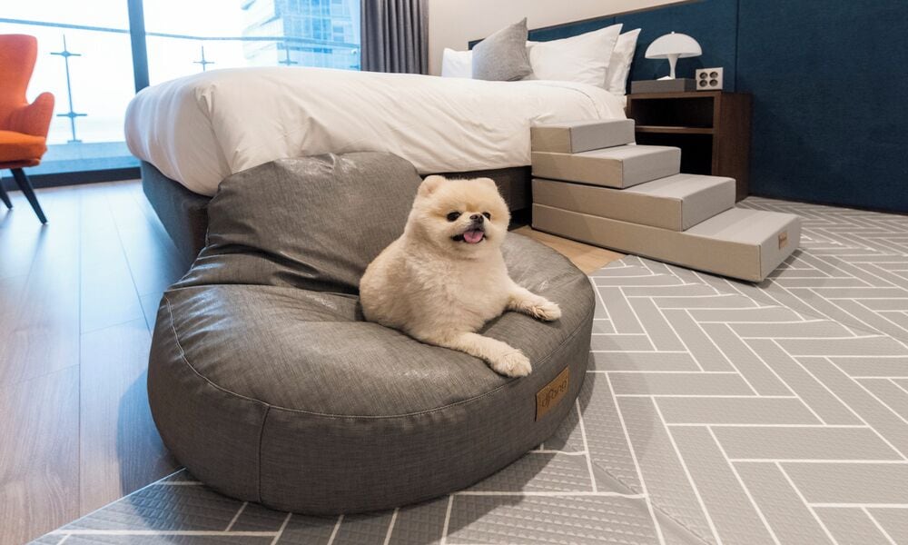 Dog Friendly Deluxe Double | Individually decorated, individually furnished, soundproofing, free WiFi