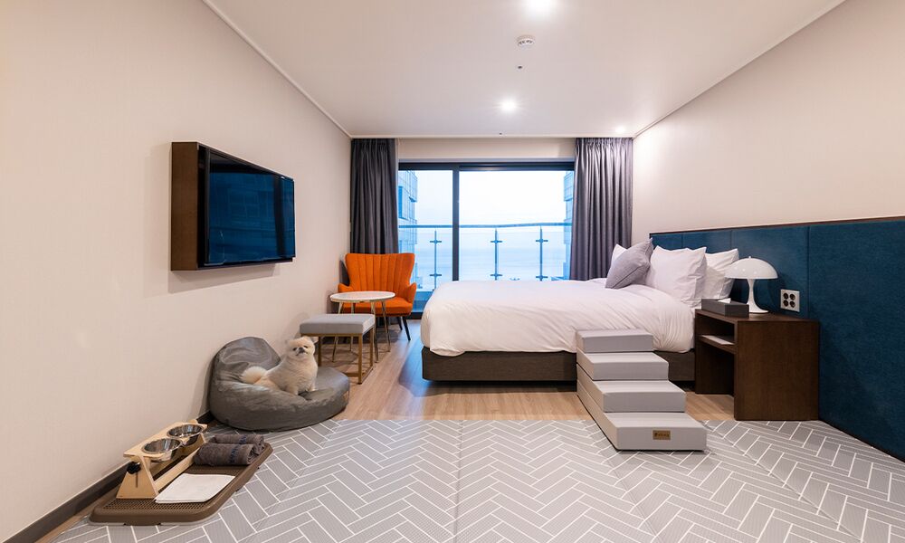 Photo - Busan Yeongmu Parade Hotel Haeundae Beach
