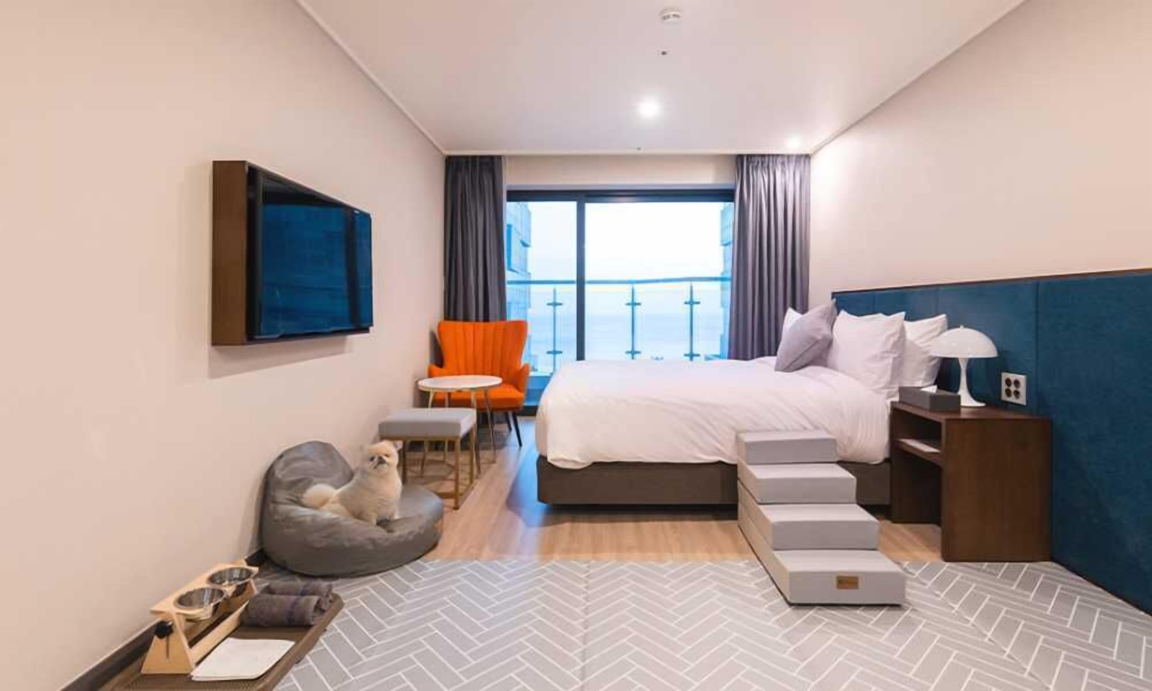 1 bedroom, individually decorated, individually furnished, soundproofing