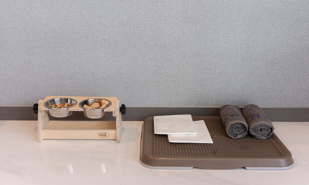Photo - Busan Yeongmu Parade Hotel Haeundae Beach