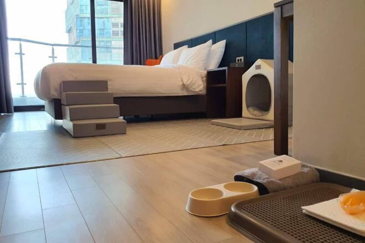 Individually decorated, individually furnished, soundproofing, free WiFi