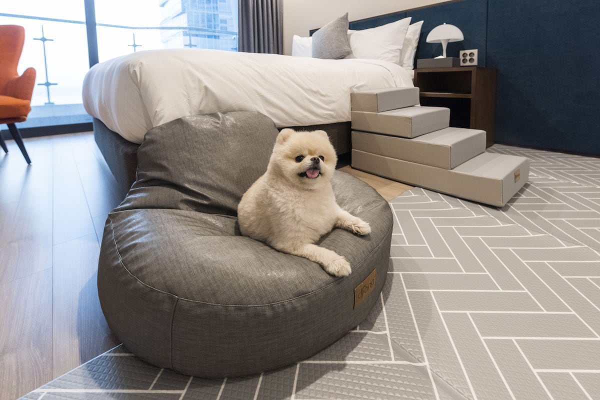 Deluxe Double Room (Pet Friendly)