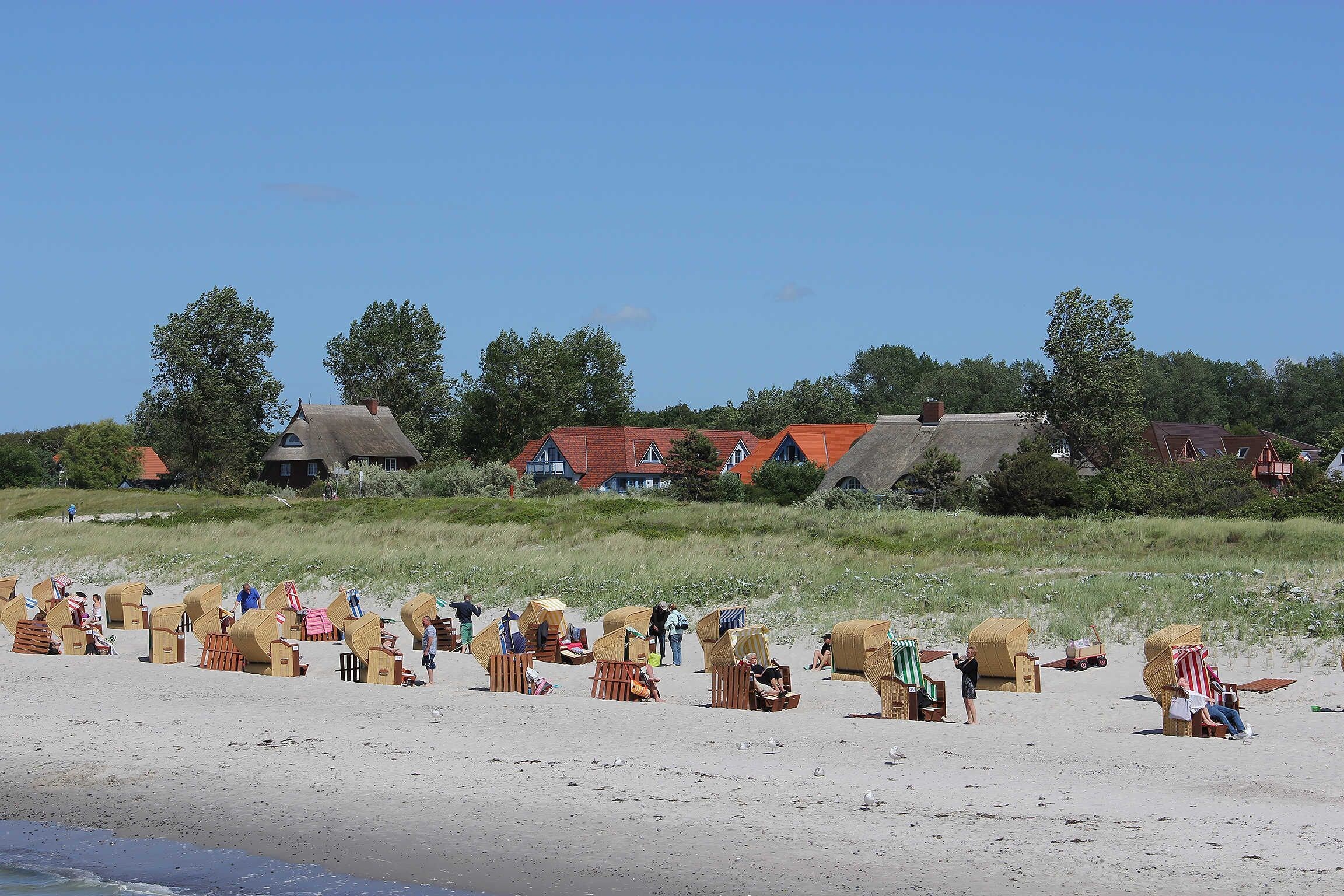 A beach with beach huts and houses in the background.