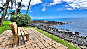 Property grounds - Contemporary Downtown Condo AC Pool (Kailua-Kona)
