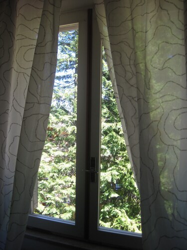 Gambarie-Aspromonte National Park_2