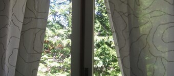 Gambarie-Aspromonte National Park_2