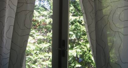 Gambarie-Aspromonte National Park_2