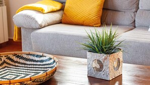 Una sala de estar con un sofá gris, una manta amarilla, una cesta tejida y una planta en una maceta texturizada.