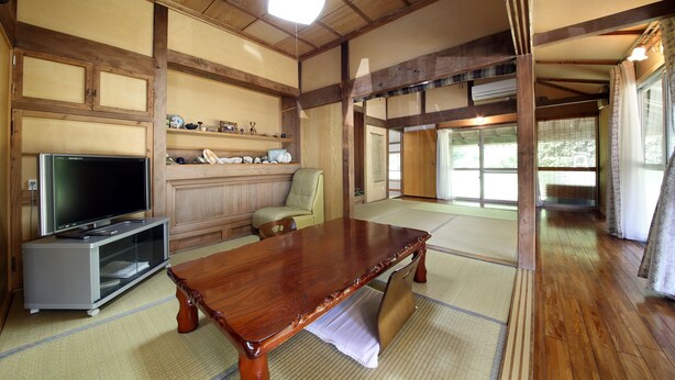 Een traditionele Japanse kamer met tatami vloerbedekking, een houten tafel, een televisie en een schuifdeur naar een tuin.