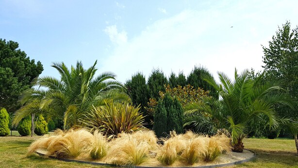A landscaped garden with various plants and trees, including palm trees and a circular flower bed. - House with sauna. Internet, Comfortable, Beaches 5mn. Golf 2mn (Lamballe Armor)