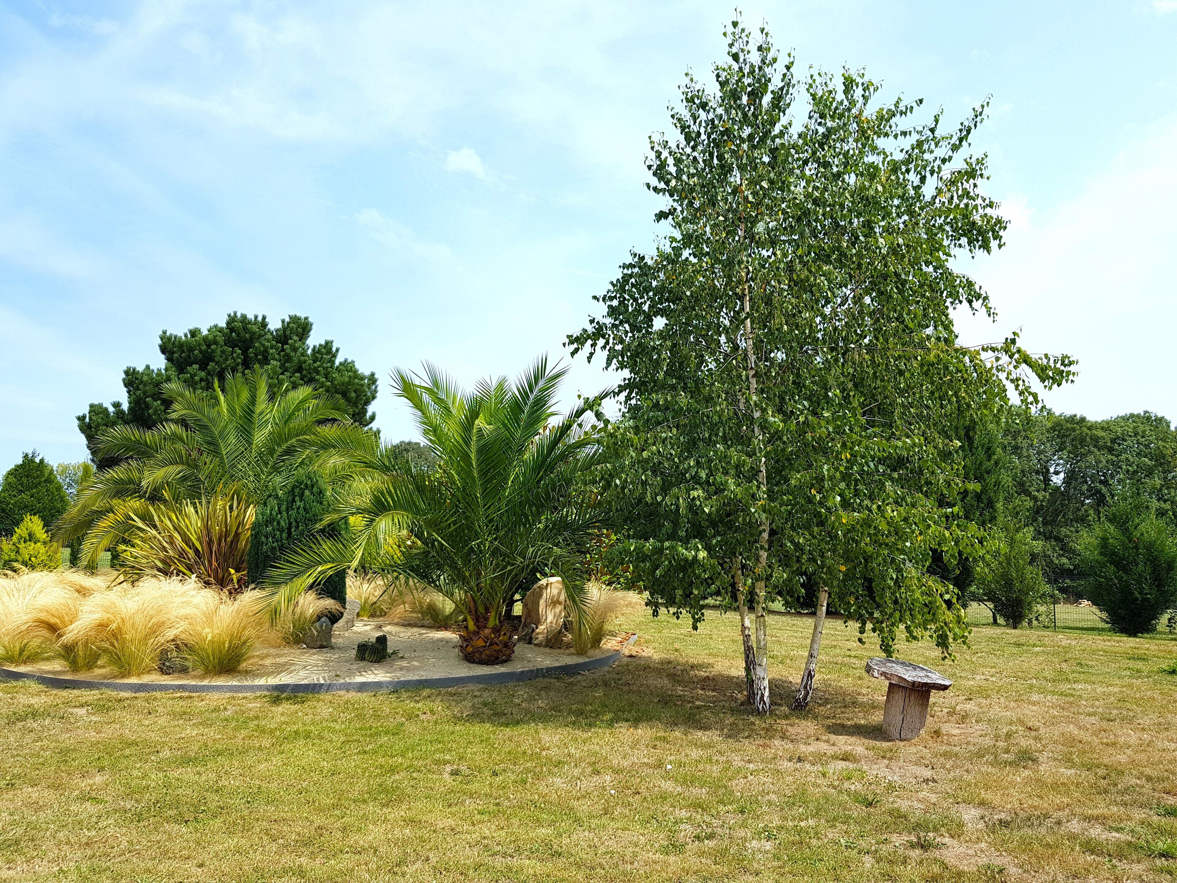 Un jardín ajardinado con diversas plantas y un banco de madera.