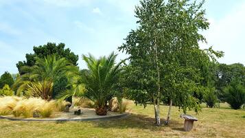 Un jardín ajardinado con diversas plantas y un banco de madera.