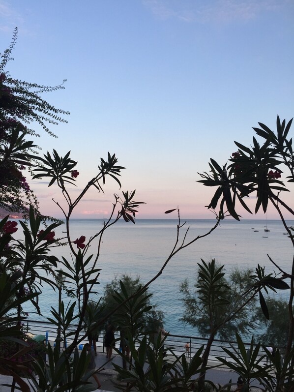 A coastal view with a railing, palm trees, and a calm sea.