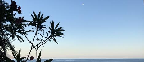 Uitzicht vanuit accommodatie