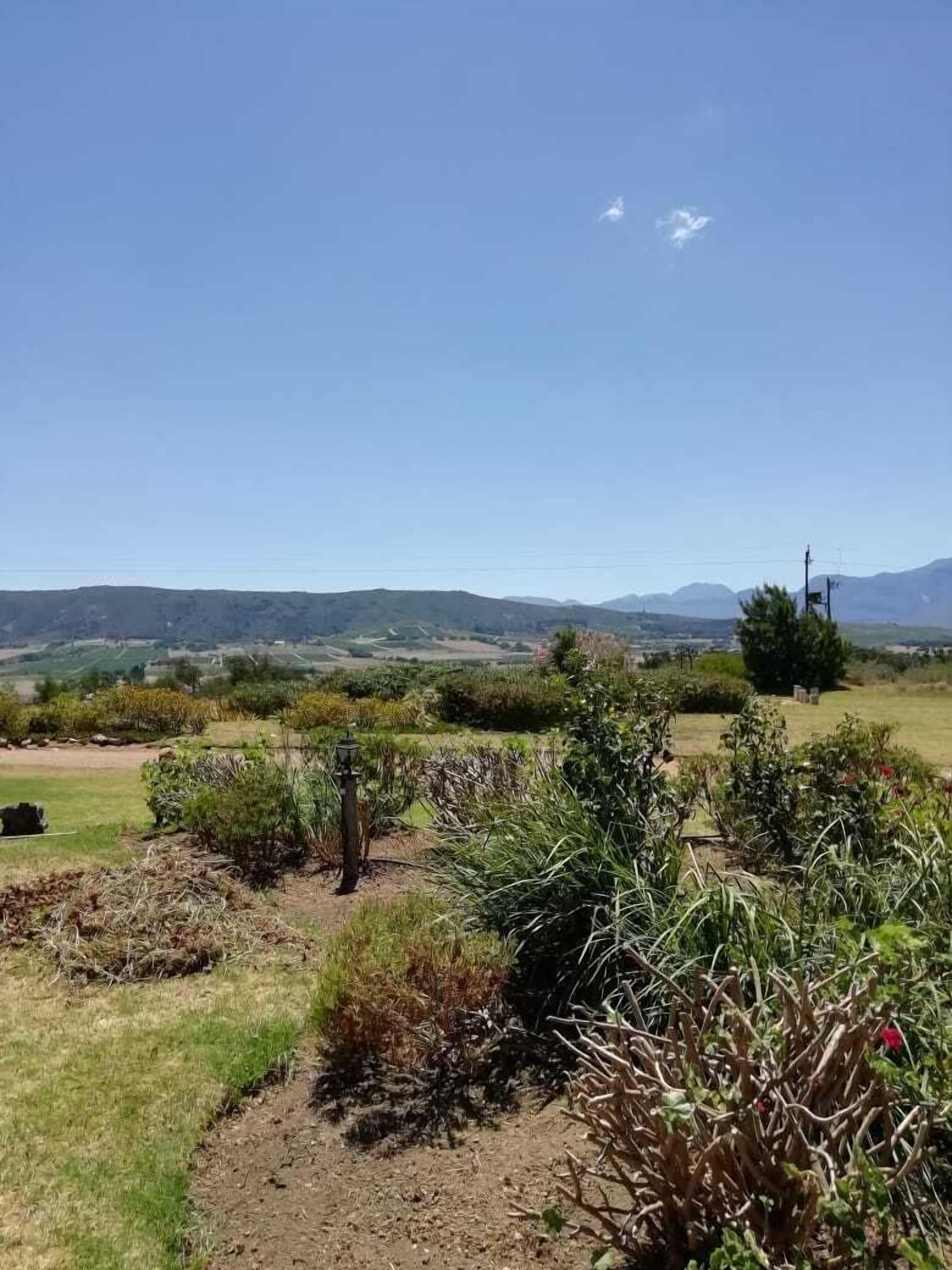 A rural landscape with a clear sky, distant mountains, and a variety of vegetation.