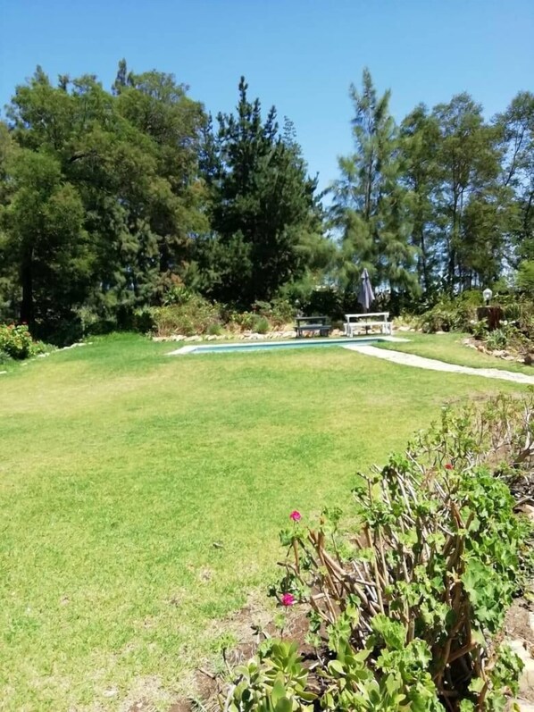 A well-maintained grassy backyard with a swimming pool, surrounded by dense trees and a small garden area. - Joie de Vevre Conferences (Paarl)