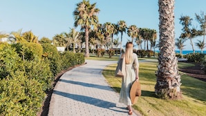Un chemin bordé de palmiers et de verdure, menant à un bâtiment.