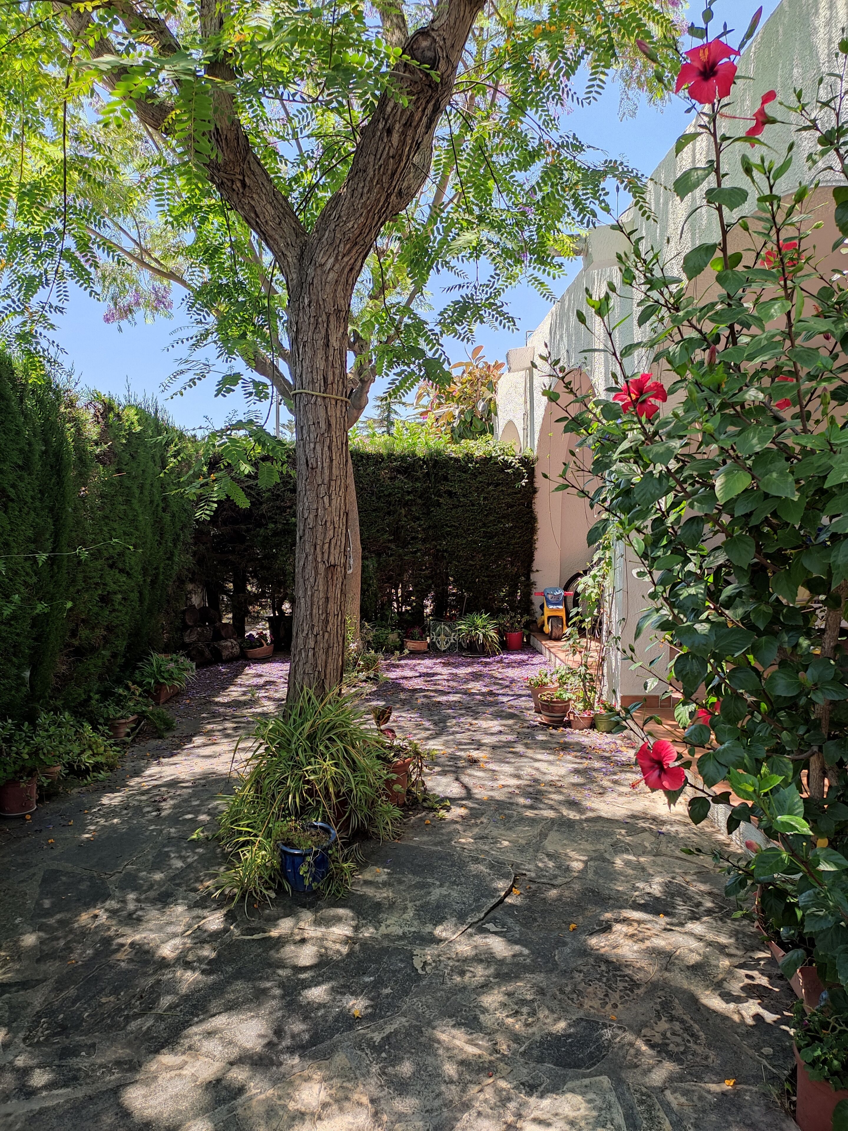 Jardines del alojamiento