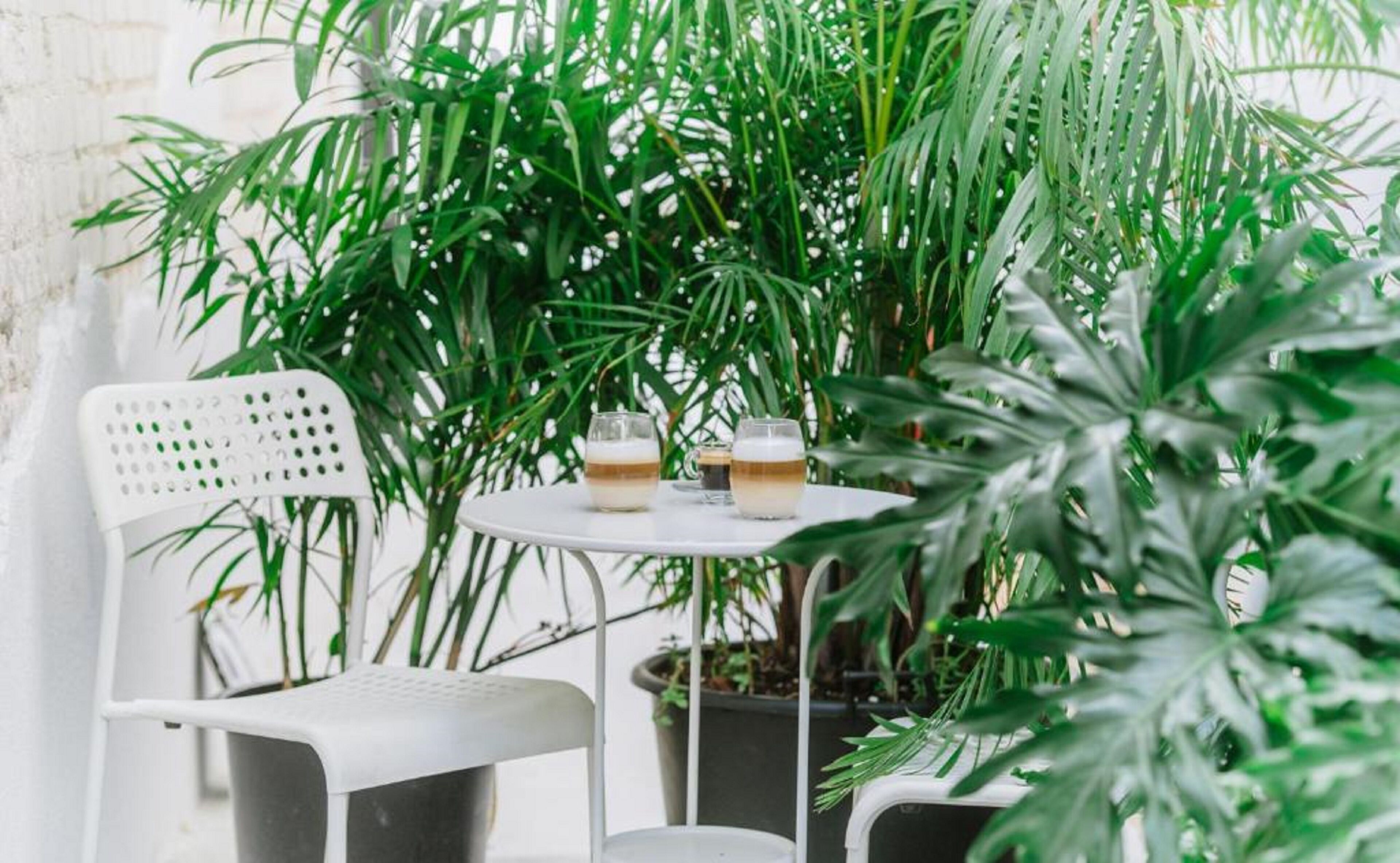 Photo - Colorbox - by Loginn Tel-Avivian hotels