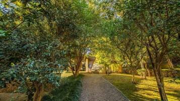 A pathway flanked by trees leading to a building with a triangular roof.