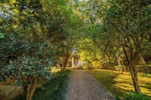 Jardim