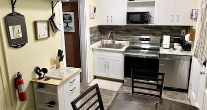 Cozy 1 bedroom apartment can sleep 4 queen size bed couch in living room