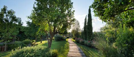 A wooden pathway in a garden with various plants and trees.