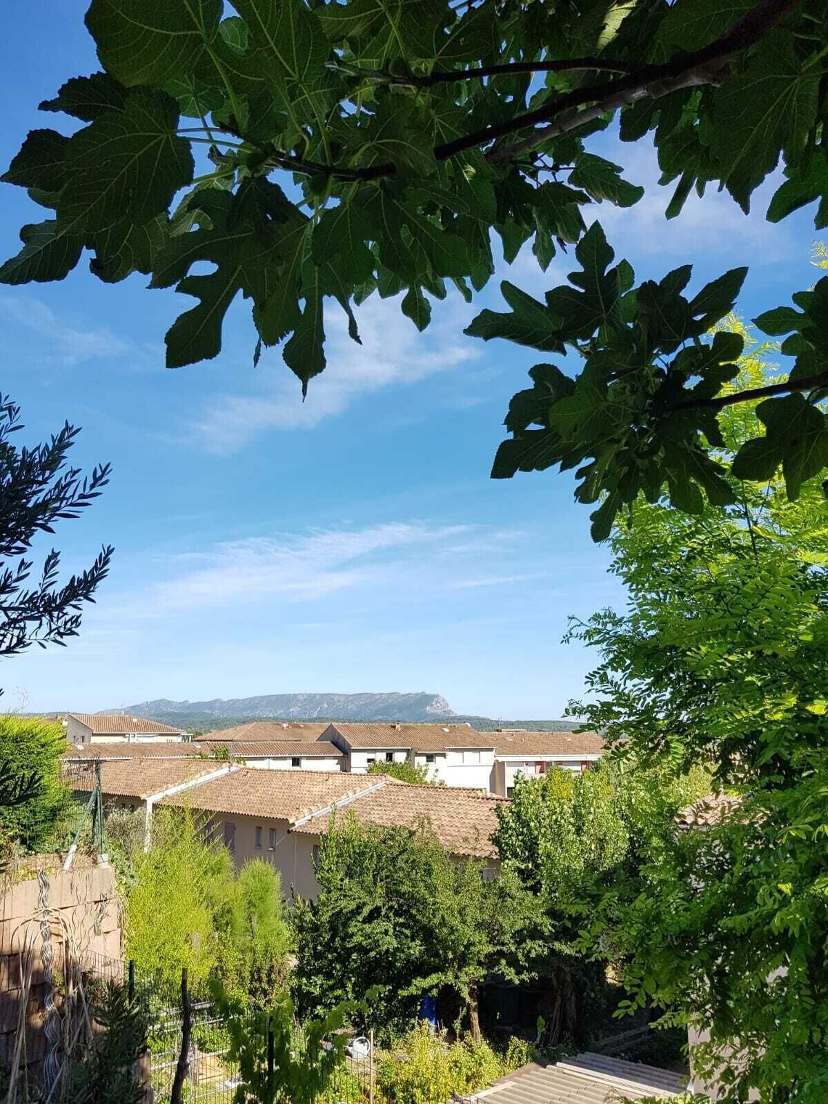 Värdens profilbild
