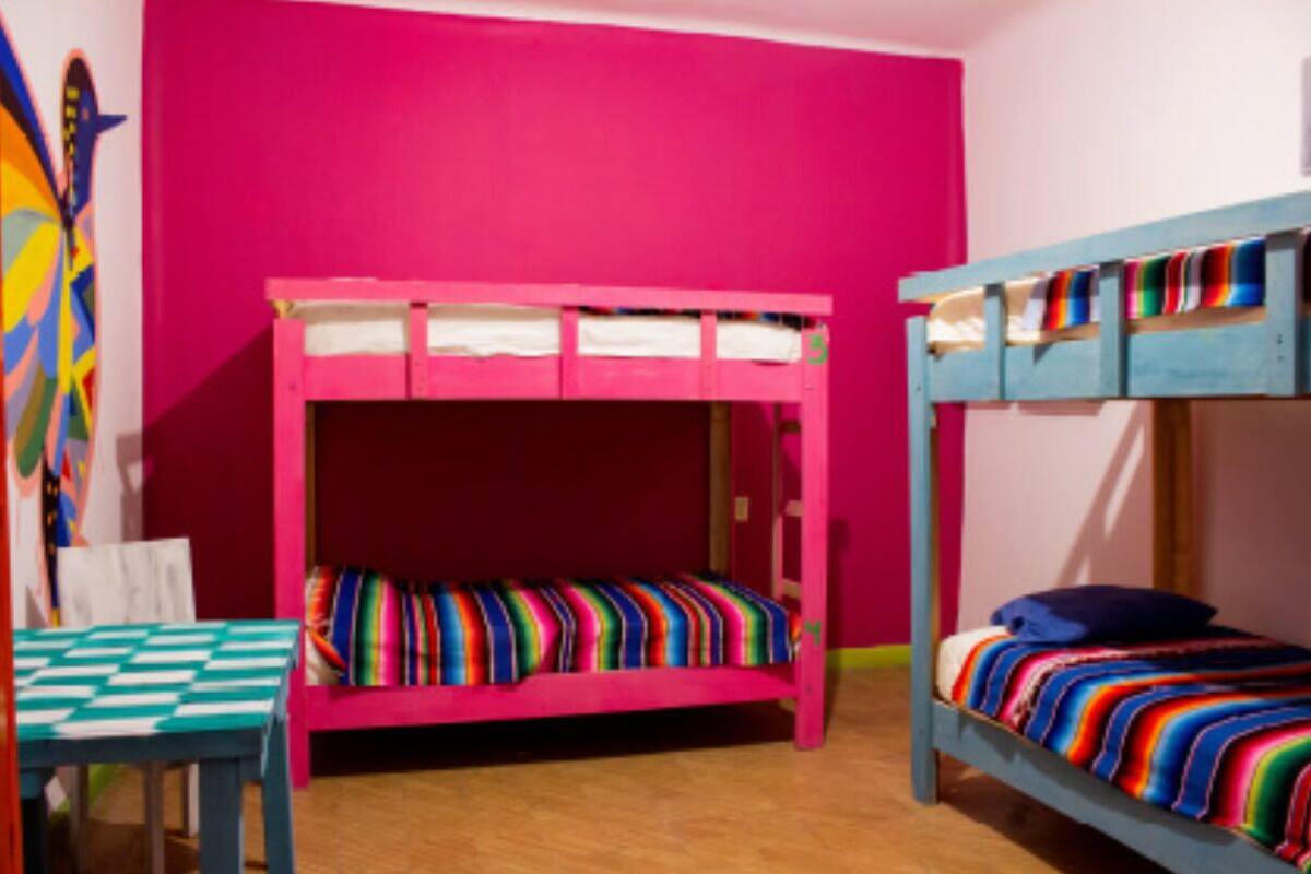 Basic Shared Dormitory, Women only