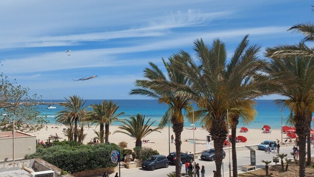 Une plage bordée de palmiers, un ciel dégagé et une vue sur la mer.