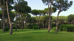 Une zone verdoyante bien entretenue, avec de grands arbres et une végétation dense, qui fait probablement partie d’un complexe hôtelier ou d’un parc.