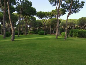 Parco della struttura