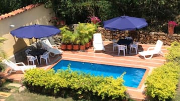 Un jardin à l’arrière de la maison, avec une piscine, entouré de plantes en pot et de meubles d’extérieur.