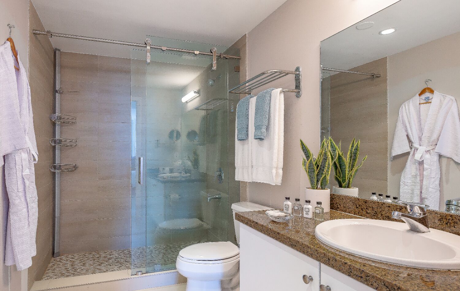 A modern bathroom with a glass-enclosed shower, a white toilet, a granite countertop, a large mirror, and a potted plant.