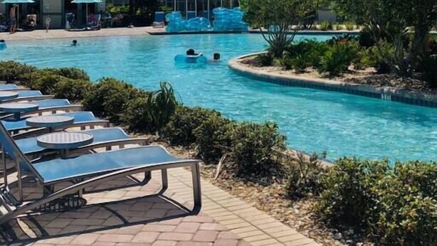 Une piscine avec des chaises longues et des palmiers.
