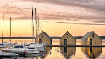 Laptop workspace, blackout curtains, bed sheets