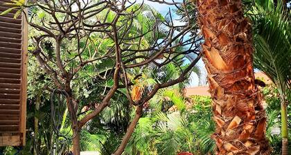 Orient Bay, superb one Bedroom with private Jacuzzi