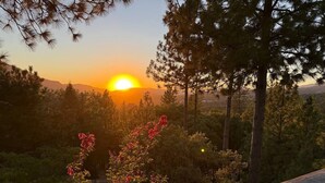 Vista del atardecer desde un balcón con baranda de madera, rodeado de árboles y arbustos.