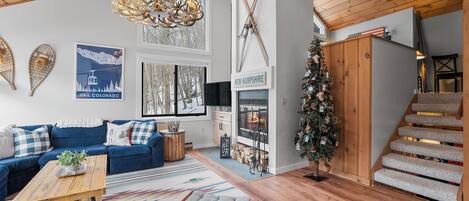 TV connectée, cheminée, lecteur de DVD, chaîne hi-fi