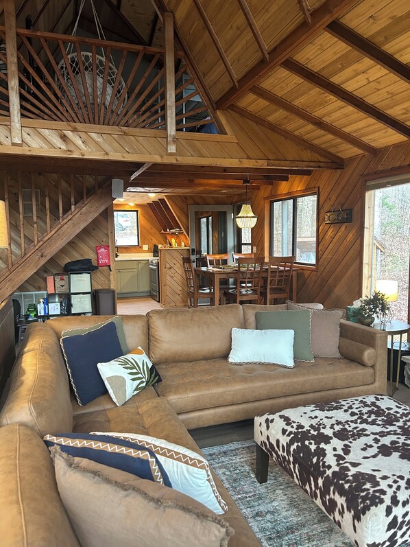 TV connectée, cheminée, jeux vidéo, lecteur de DVD