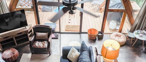 Smart TV, fireplace, video games, DVD player