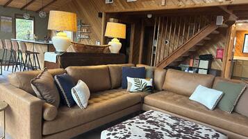 TV connectée, cheminée, jeux vidéo, lecteur de DVD