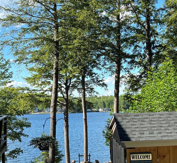 Escape to a serene lakeside retreat surrounded by tall trees and a tranquil lake view.